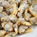 https://www.bossgoo.com/product-detail/fresh-frozen-mussel-meat-59402652.html